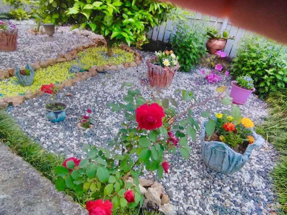 Sisi Guest House Кутаїсі Екстер'єр фото